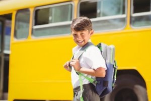 Curso Gratuito Online com Certificado - A Política do Transporte Escolar no Brasil