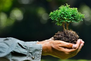 Curso Gratuito Online com Certificado - Agente de Defesa Ambiental