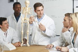 Curso Gratuito Online Anatomia Humana