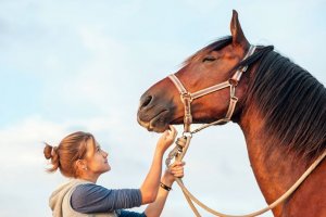 Curso Gratuito Online com Certificado - Introdução ao Auxiliar de Veterinária para Equinos